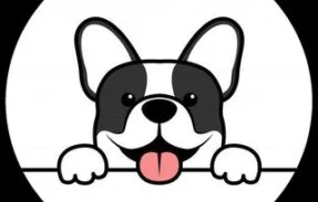 PETS ENGRAÇADOS 🐾