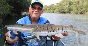 Pesca Raíz