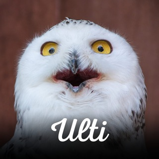 ULTI | Memes
