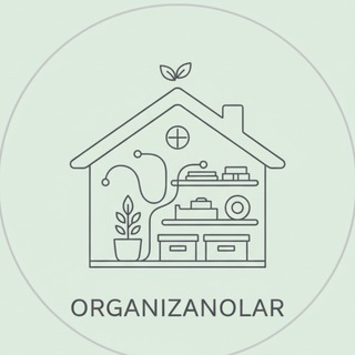 Organiza no Lar(VIP)