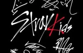 Só sobre os ✨⃟Stray kıds
